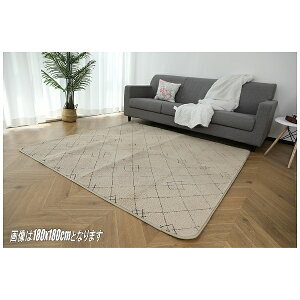 bMizuno Ȓ^b`@J`I߃O3.1BE