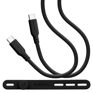 ���X�^�o�i�i�bRastaBanana USB-C �� USB-C�P�[�u�� [�[�d /�]�� /1.0m /PD100W /USB3.2Gen2(10Gbps)] �`���R�[���O���[ C210CACC5A02CGR [USB-C �� USB-C]