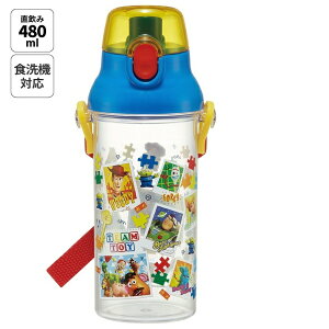 SkaterbXP[^[ H@ΉvX`bNNA{g480ml gCEXg[[24 PSB5TR