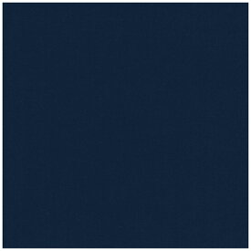 清原｜KIYOHARA 生地 制菌・消臭加工オックス 1mカットクロス ネイビー HFF-03-1/NV