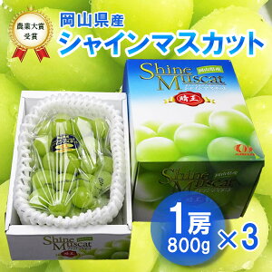 �y�\��z2026�N�Y�\��J�n 10����{�����J�n �V���C���}�X�J�b�g 800g�O�� 1�[ 3�� �������� �������p �M�t�g ���� �Ԃǂ� ���{�_�Əܑ�܎�܂̎Y�n���R �тق��Y �_�C����