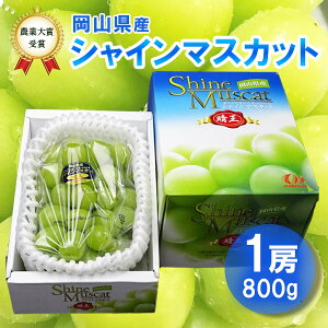 �y�\��z2026�N�Y�\��J�n 10����{�����J�n �V���C���}�X�J�b�g ��[800g�ȏ� 1�[�� �������� �������p �M�t�g ���� �Ԃǂ� ���{�_�Əܑ�܎�܂̎Y�n���R �тق��Y �_�C����