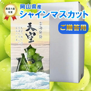 yߘa7NYz 10{Jn VC}XJbg 1[  p Mtg  Ԃǂ ʒ o蒆̓ꔠ {_Əܑ܎܂̎YnR тقY _C V