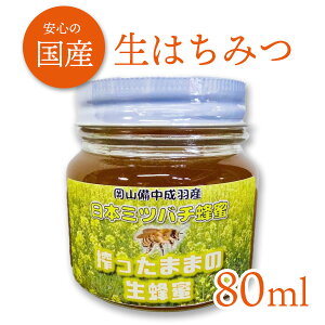 ݂̂͂  {~co` SԖ 󏭈S̍Y I ܂܂̐I~j 80ml