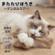 【新発売 20%OFFクーポン】【遊びながらデンタルケア】またたびほうき 猫 歯磨き おもちゃ 噛む おもちゃ…