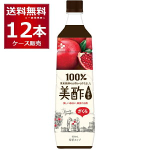 | ~`  900ml×12{(1P[X) ߃^Cv 100%ʎy|yꕔn͏z