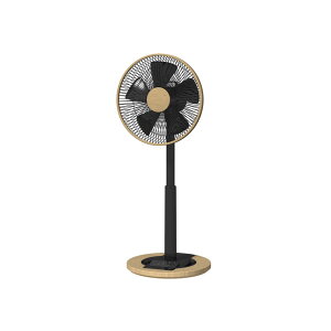 SKJAPAN ؖ @ SKJ-K311DC-M fBvH IIt^C}[ DC[^[ R 5H 8iK É rO T[L[^[ C GXPCWp