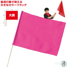 楽天市場 運動会応援旗の通販
