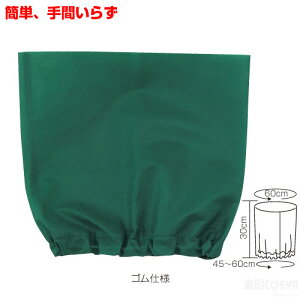 ߑx[X Xq ΁iLOiȆ ̈ ^    w|  VYj