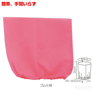 ߑx[X Xq iLOiȆ ̈ ^    w|  VYj