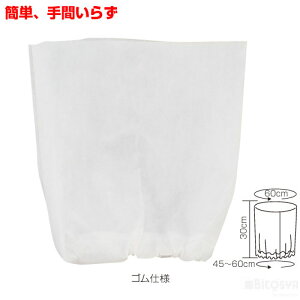 ߑx[X Xq iLOiȆ ̈ ^    w|  VYj