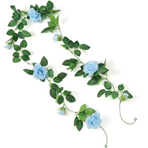 tFCNO[ K[h o iLOiȆ ̑  CeA A   t JtF ցj