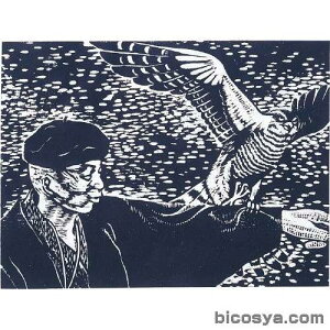 Sŉ悵ȃxj 4x260x360iؒ ؒfށj