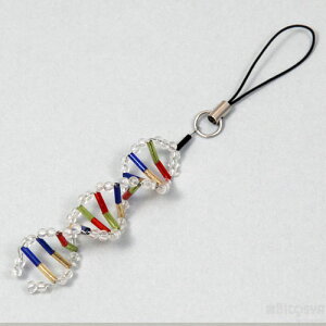 DNAXgbvi ͌^ ċxݓW R HLbg w ̎qj