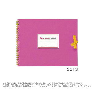 �}���}���X�P�b�`�u�b�N �A�[�g�X�p�C����(F3) S313-33 ���C�g�O���[���i�`��ޗ� �X�P�b�`�u�b�N�j