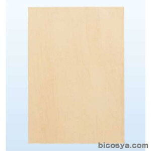 fUCppl A4 ˘gi`ޗ pl i 邢  f ؘg  H }Hj