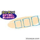 ラクラク支柱（生物 栽培 夏休み 冬休み 理科 自由研究セット 工作キット アサガオ 朝顔）
