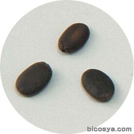 楽天市場 ヘチマ 種子の通販