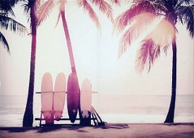 キャンバスアート Carino Canvas Art Surfboard and palm tree 700x500mm zpt-61751