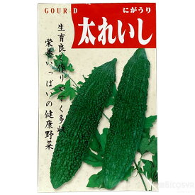 野菜の種 ツルレイシ(苦瓜)［メール便：20］（生物 栽培 夏休み 冬休み 理科 自由研究セット 工作キット）