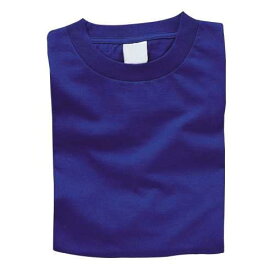 カラーTシャツ(ヘビーウェイト) L ロイヤルブルー[メール便不可]（版画 孔版 オリジナルTシャツ）