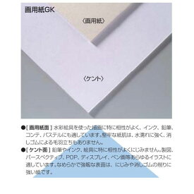 楽天市場 画用紙 自由研究の通販