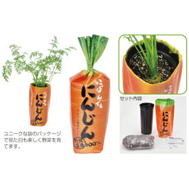 楽天市場 にんじん 栽培キットの通販