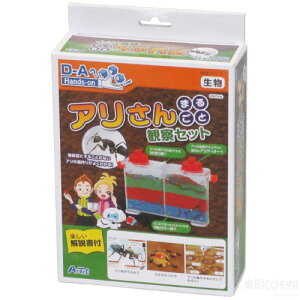 ȊwV[Y A܂邲Ɗώ@Zbgi Rώ@ ċx  RKChubN HLbg Zbg wNj