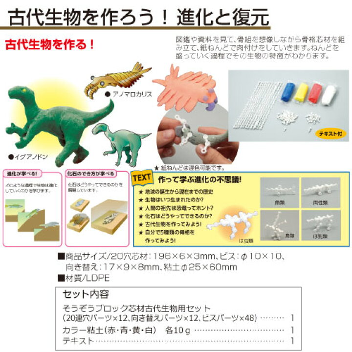 楽天市場 科学シリーズ 進化が学べる古代生物作成キット メール便不可 地学 化石 夏休み 実験 自由研究ガイドブック 工作キット セット 小学生 学校教材の専門店 美工社