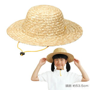 ڂ~jiLOiȆ ̈ ^ _X Xg[nbg ߑ Xq ċx M Cxg LbY qj