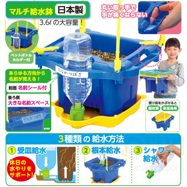 楽天市場 ステップあさがお Dxセット 朝顔の種つき メール便不可 生物 栽培 朝顔の種 小学校 小学生 幼稚園 保育園 プランター 朝顔栽培セット 学校教材の専門店 美工社 楽天市場 ステップあさがお Dxセット 朝顔の種つき メール便不可 生物 栽培 朝顔の種 小学校 小学生 幼稚園 保育園 プランター 朝顔栽培セット 学校教材の専門店 美工社