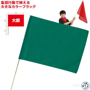 運動会 フラッグ ダンスの人気商品 通販 価格比較 価格 Com