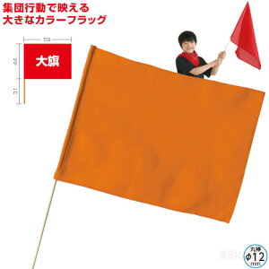 運動会 フラッグ ダンスの人気商品 通販 価格比較 価格 Com