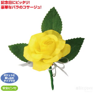 RT[W ~jo CG[iLOiȆ ƋLO w Ǝ  T l j