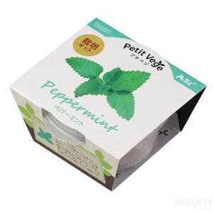 v`xW yp[~giċx R ċx ~x  RZbg HLbg ͔|Zbgj