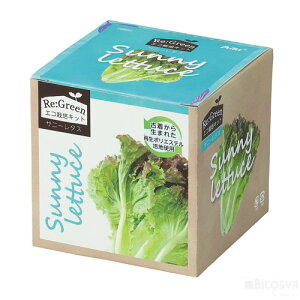 GR͔|Lbg Re:Green Tj[^Xiċx R ċx ~x  RZbg HLbg ͔|Zbgj