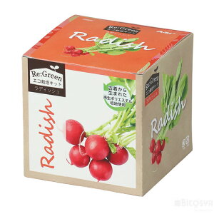 GR͔|Lbg Re:Green fBbViċx R ċx ~x  RZbg HLbg ͔|Zbgj