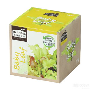 GR͔|Lbg Re:Green xr[[tiċx R ċx ~x  RZbg HLbg ͔|Zbgj