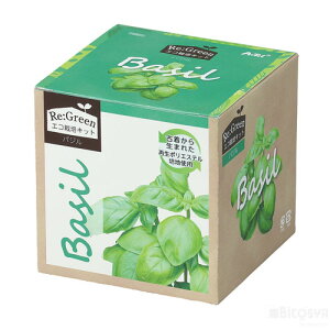 GR͔|Lbg Re:Green oWiċx R ċx ~x  RZbg HLbg ͔|Zbgj