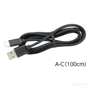 USBP[u(1m)(USB2.0 A-Type C)iwZpi Zp ICT Ɓj
