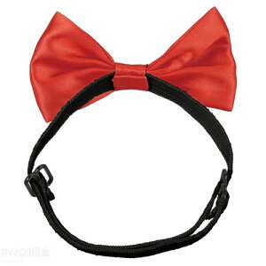 \tgTelN^C ԁi^ ߑx[X lN^C ǂ l TCY\ RXv ߑ  \ Cxg qǂ qj