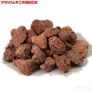 ԗn⍻iHLbg zr[ EH[h̔ RPE CAEg ΁j