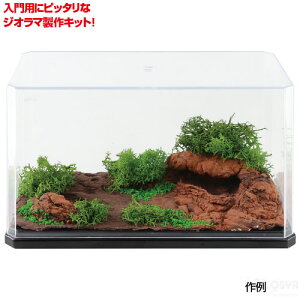 ͂߂ẴWI}x[XLbg LjIiHLbg zr[ WI} RHLbg }H p H nhNtg Aj