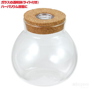 (Cgt)iHLbg zr[ ċx ~x RZbg HLbg v CeA CgAbvj