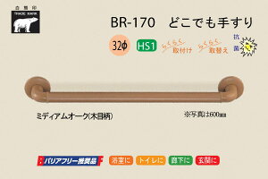 VN} BR-170-MI[N ǂł肷 32 400mm