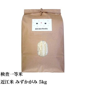 みずかがみ 5kg 減農薬 令和5年産 2023年産 大戸洞舎 近江米 米 環境こだわり農産物 選別1.9mm以上 白米 玄米 検査一等米 滋賀産 送料無料 琵琶近江商店 新生活