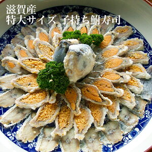  ʌ TCY qi 1C XCXȂ тΎY VRjSui  Yn ӂȂ tiYV   Ȃꂸ _  yHi  Mtg 