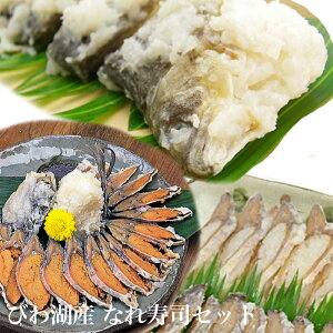 y10%OFF yVX[p[SALE 12/4 20z  тΎY Ȃꂸ i iIXXj i v5CZbg  VRjSui ̂ Mtg   Ε ӂȂ  