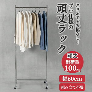 �Ɩ��p �n���K�[���b�N �g���s�v ��� ��60cm �ω׏d100kg ����180cm S-Class600 ���Ȃ� ���ω׏d �X�܏Y�� �Y�� �L���X�^�[�t�� �A�p���� �V���b�v �X�ܗp ��ʎ��[ �ۊ� �݌ɊǗ� �W�� ���{�� �A