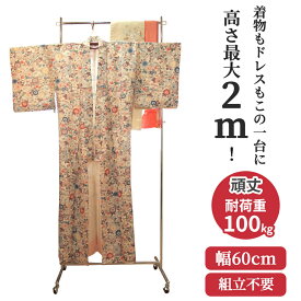 【2/17以降順次出荷予定】着物 業務用 ハイ ハンガーラック 背が高い 組立不要 頑丈 高さ2m 幅60cm 耐荷重100kg S-Class600H 壊れない 高耐荷重 店舗什器 什器 キャスター付き アパレル ショップ 店舗用 日本製 法人向け 事業所用 ドレス ロングコート ロング丈 タフグラン